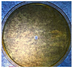 Textiles 02 00026 i008 Textiles 02 00026 i008