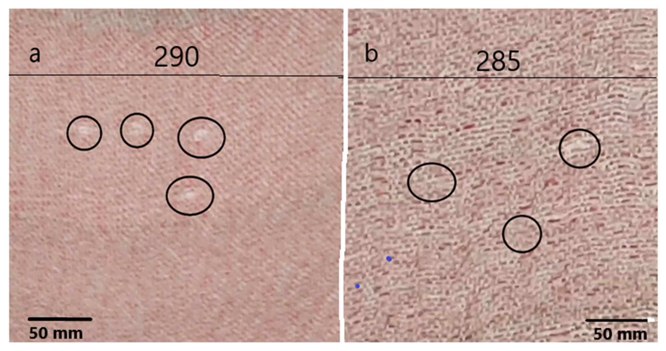 Textiles 02 00035 g014 Textiles 02 00035 g014