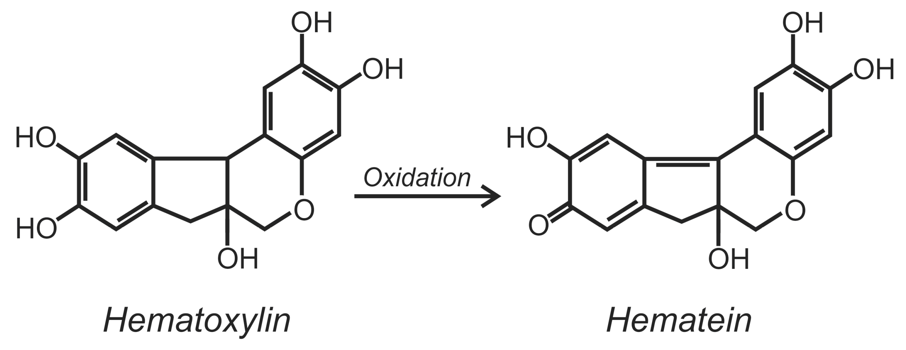 Textiles 04 00010 g001