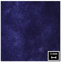 Textiles 04 00018 i009