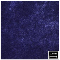 Textiles 04 00018 i010