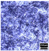 Textiles 04 00018 i019