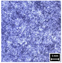 Textiles 04 00018 i026