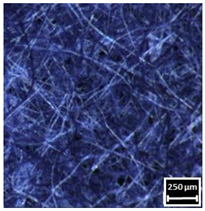 Textiles 04 00018 i047