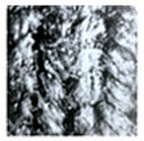 Textiles 05 00031 i002