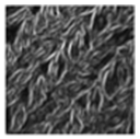 Textiles 05 00031 i008