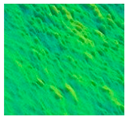 Textiles 05 00031 i018