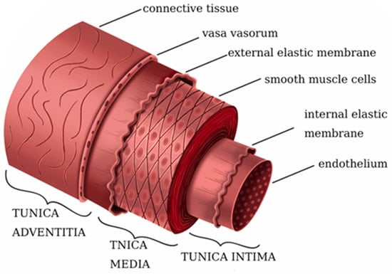 Textiles 05 00038 g001