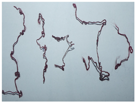 Textiles 05 00054 i002