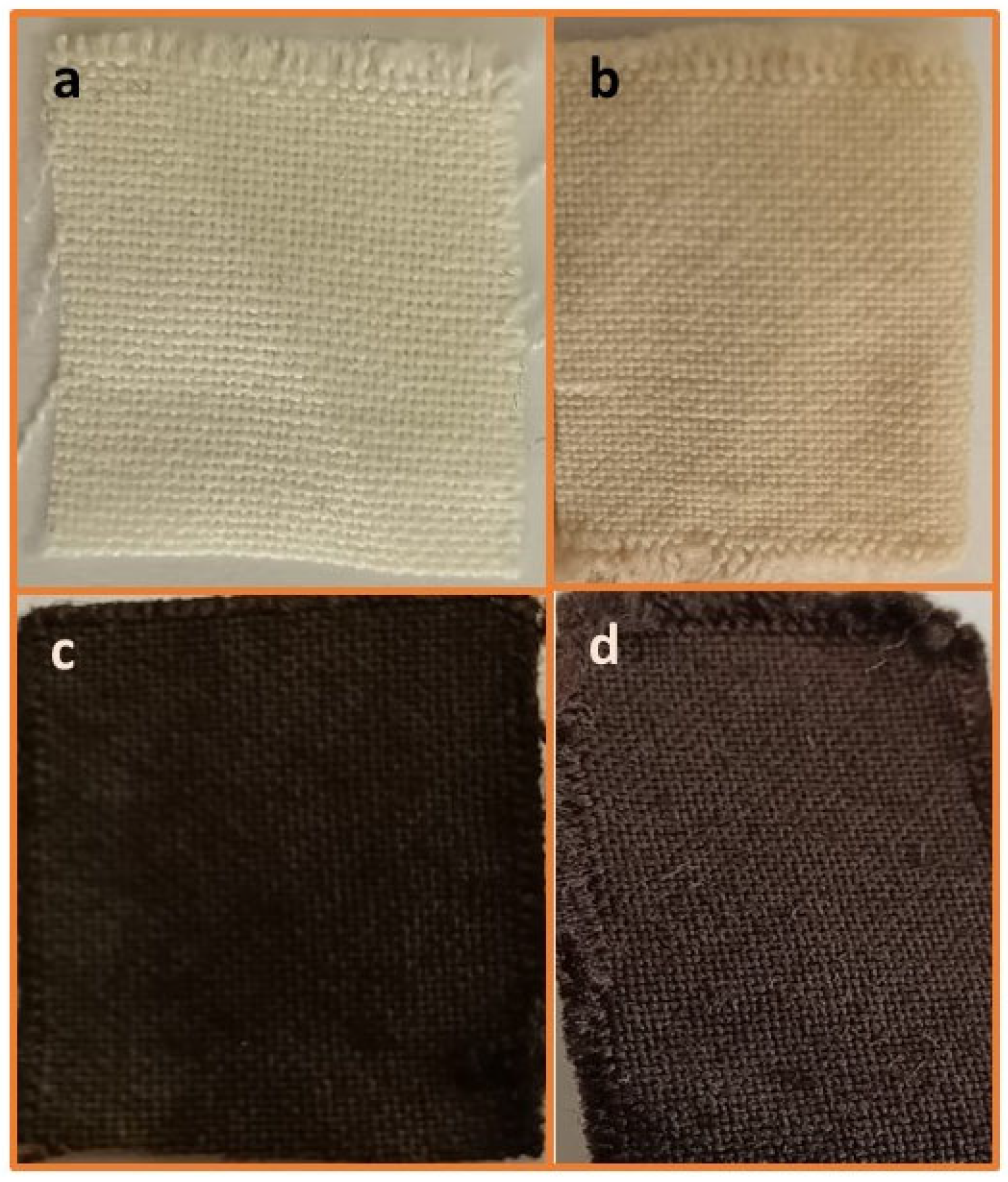 Textiles 06 00016 g001