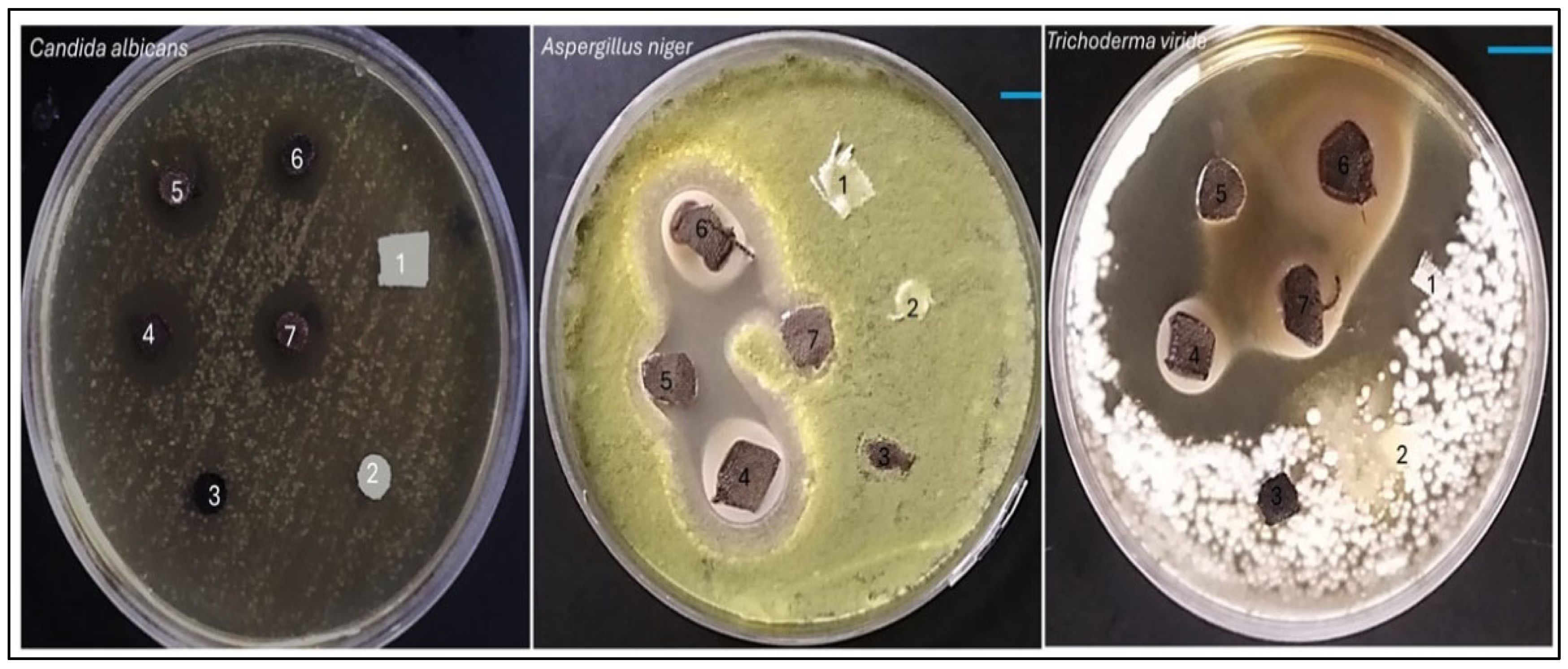 Textiles 06 00016 g010