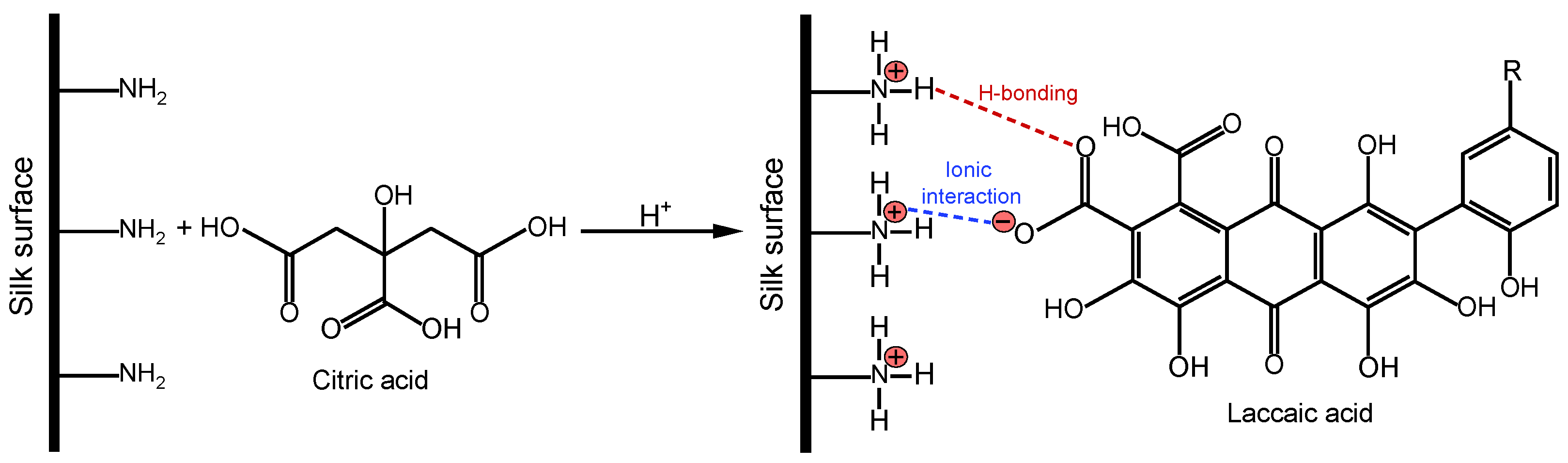 Textiles 06 00115 g004 Textiles 06 00115 g004