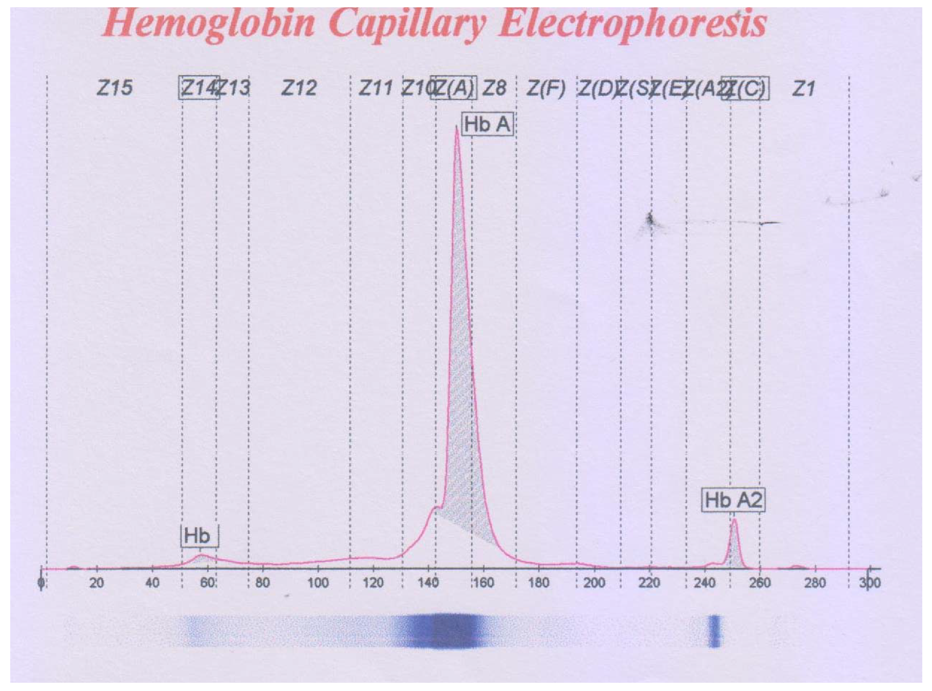 Thalassrep 12 00010 g001