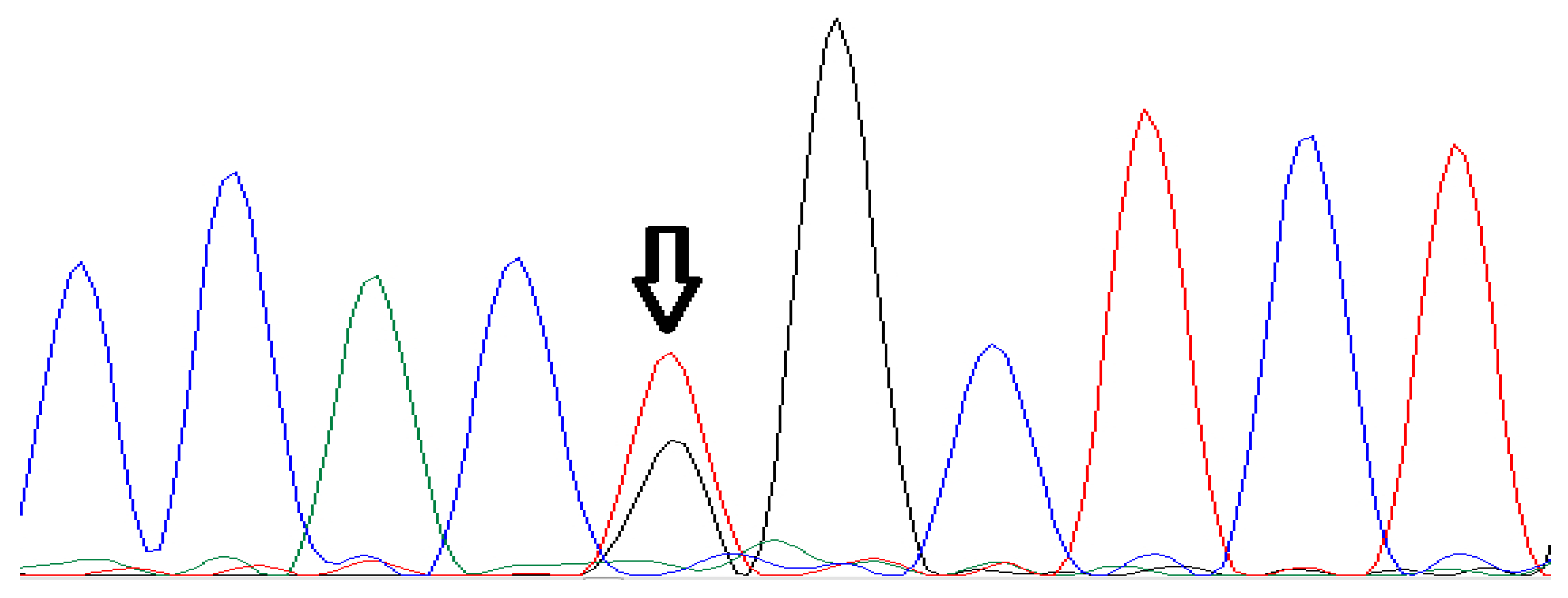 Thalassrep 12 00010 g002