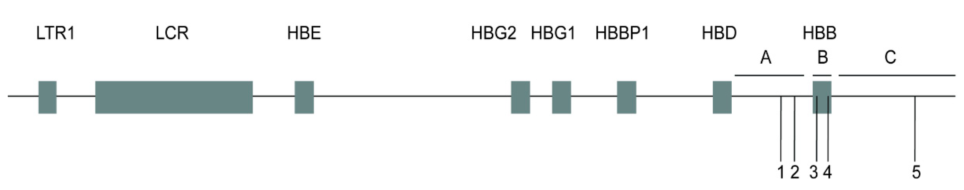 Thalassrep 12 00011 g001