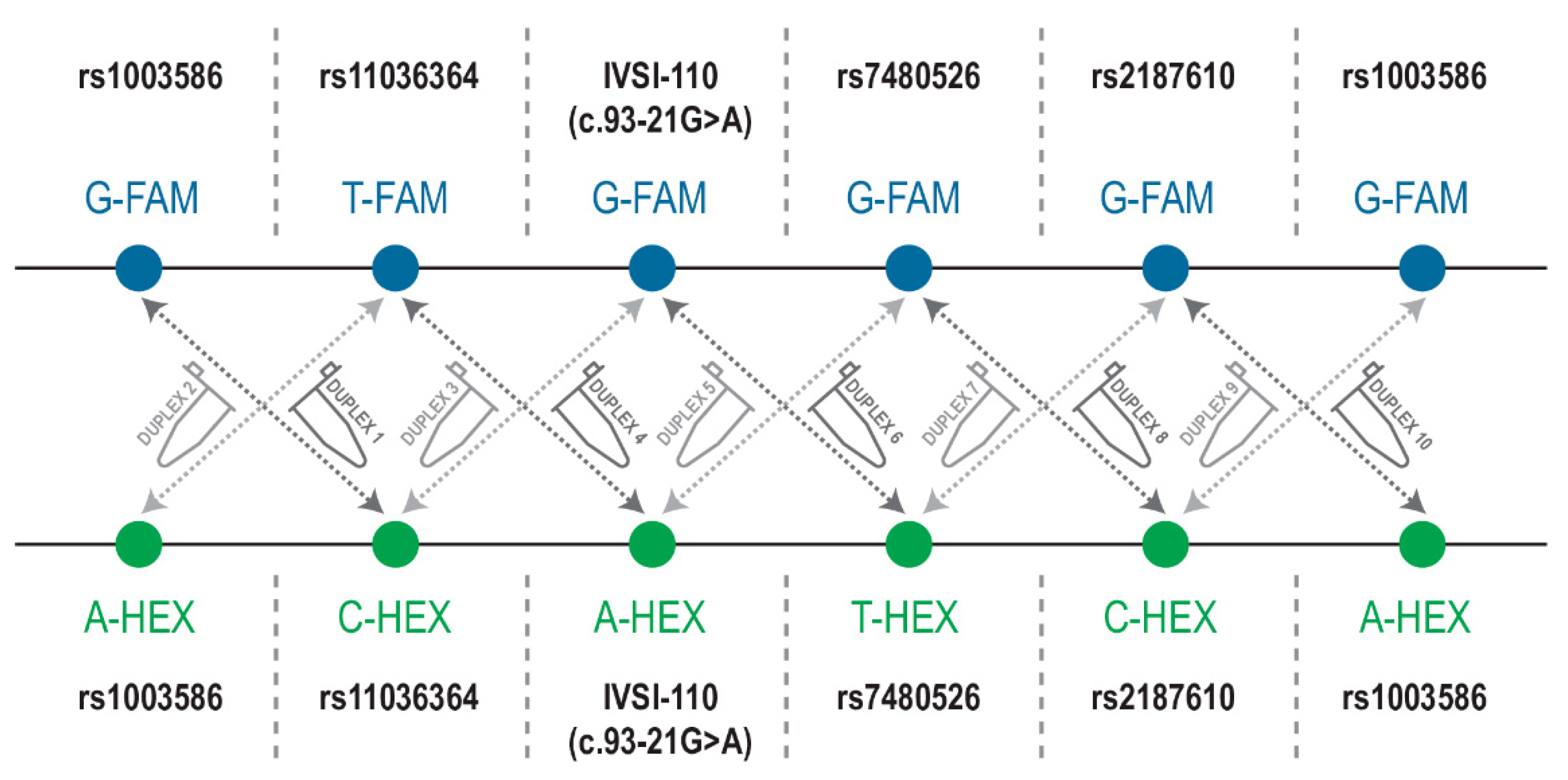 Thalassrep 12 00011 g003