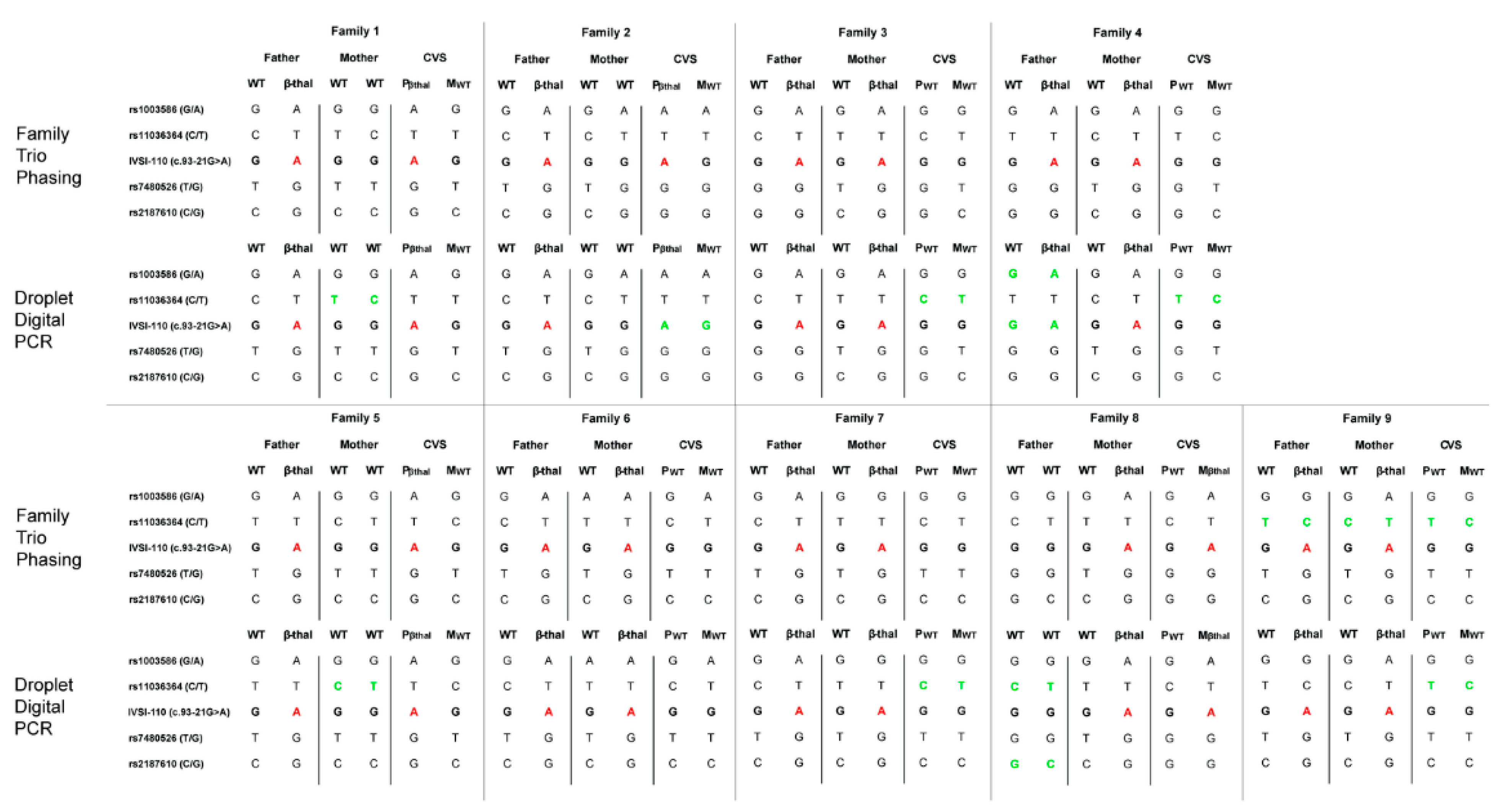 Thalassrep 12 00011 g008