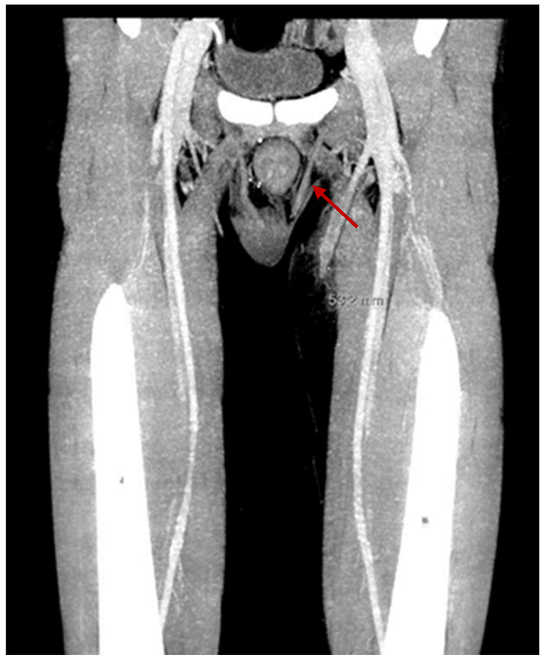 Thalassrep 12 00013 g001