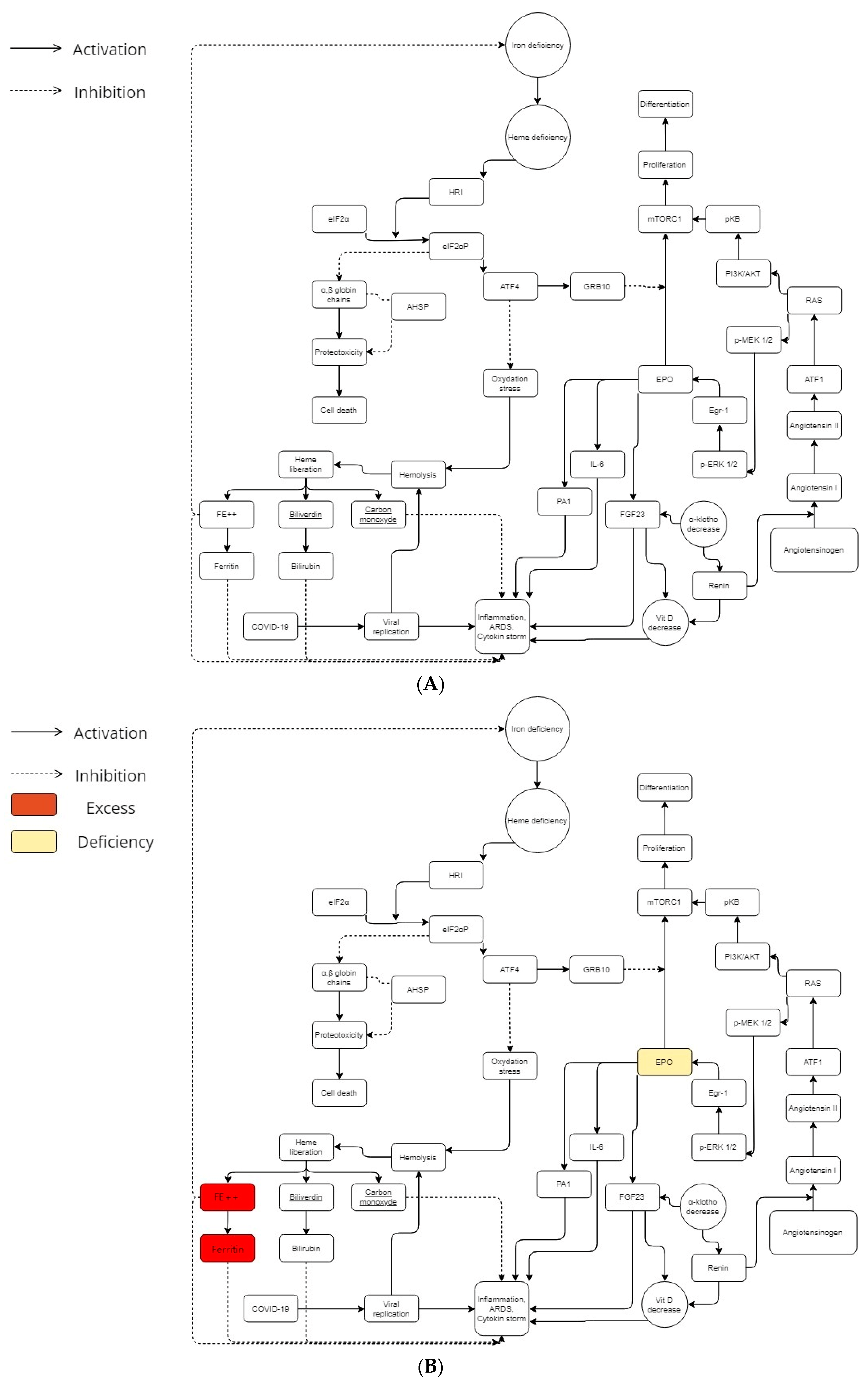 Thalassrep 13 00003 g001