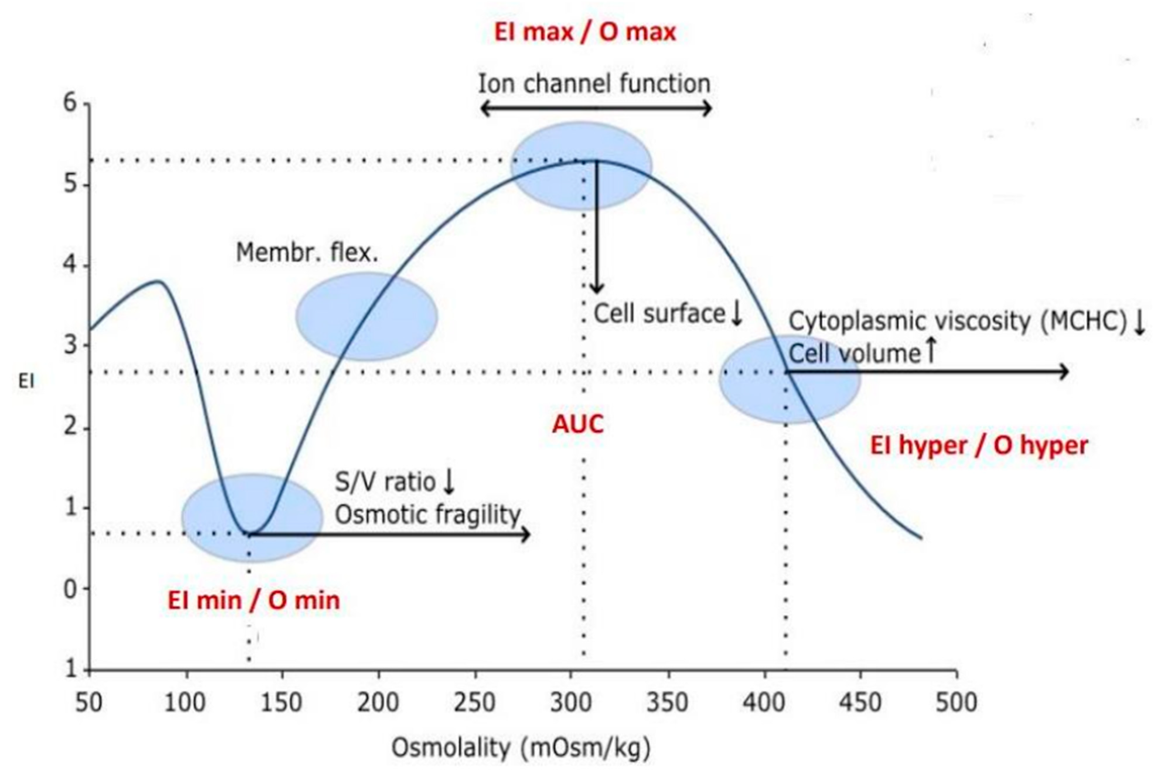 Thalassrep 13 00007 g001