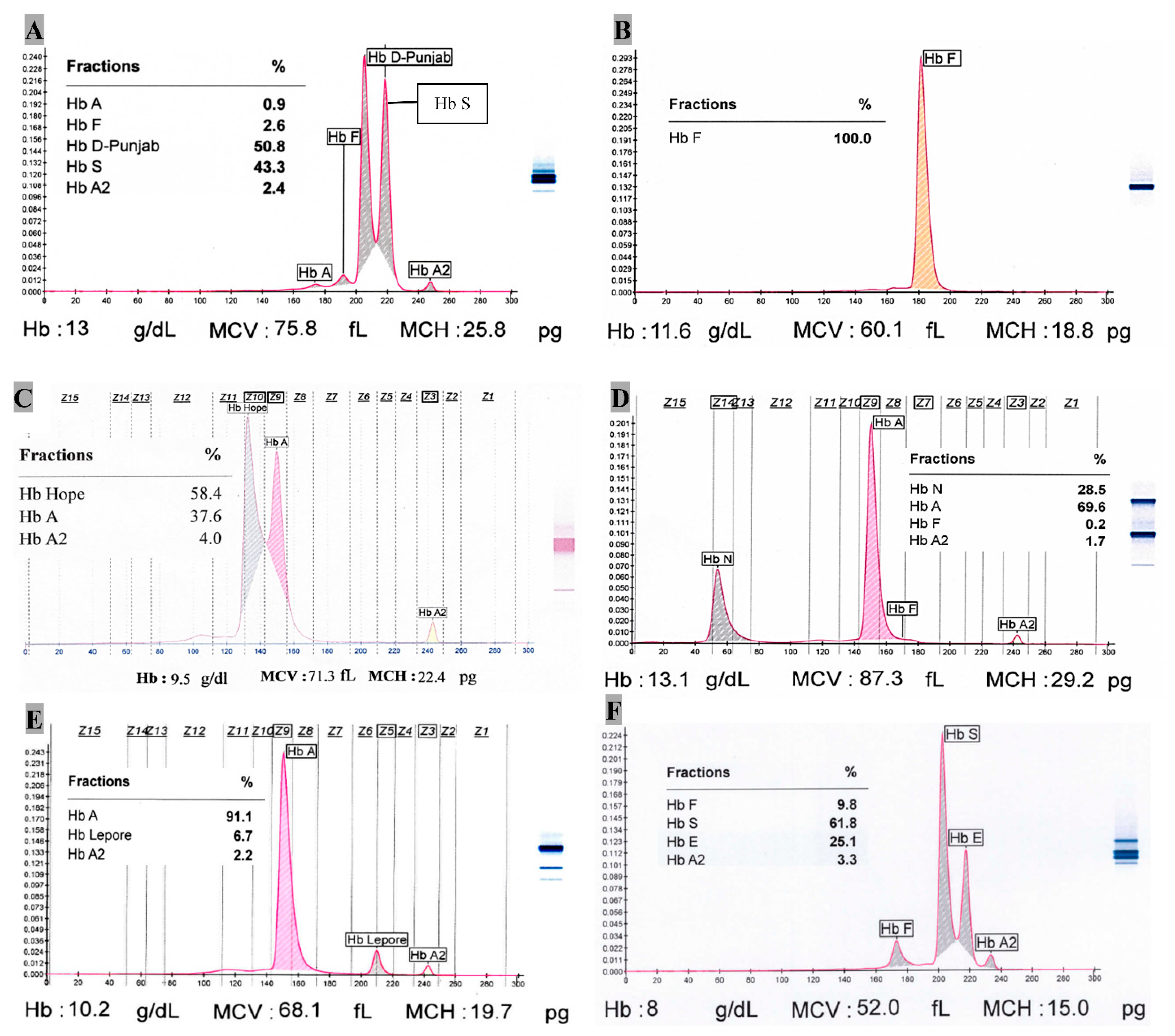 Thalassrep 13 00012 g002