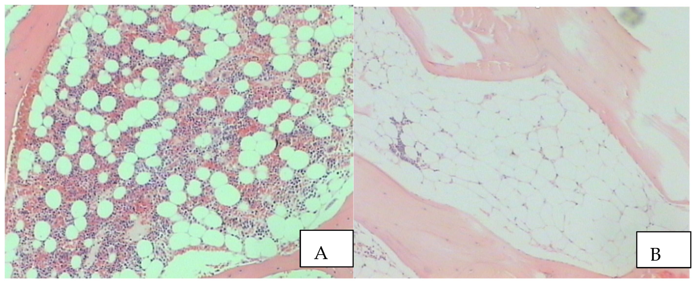 Thalassrep 13 00015 g002