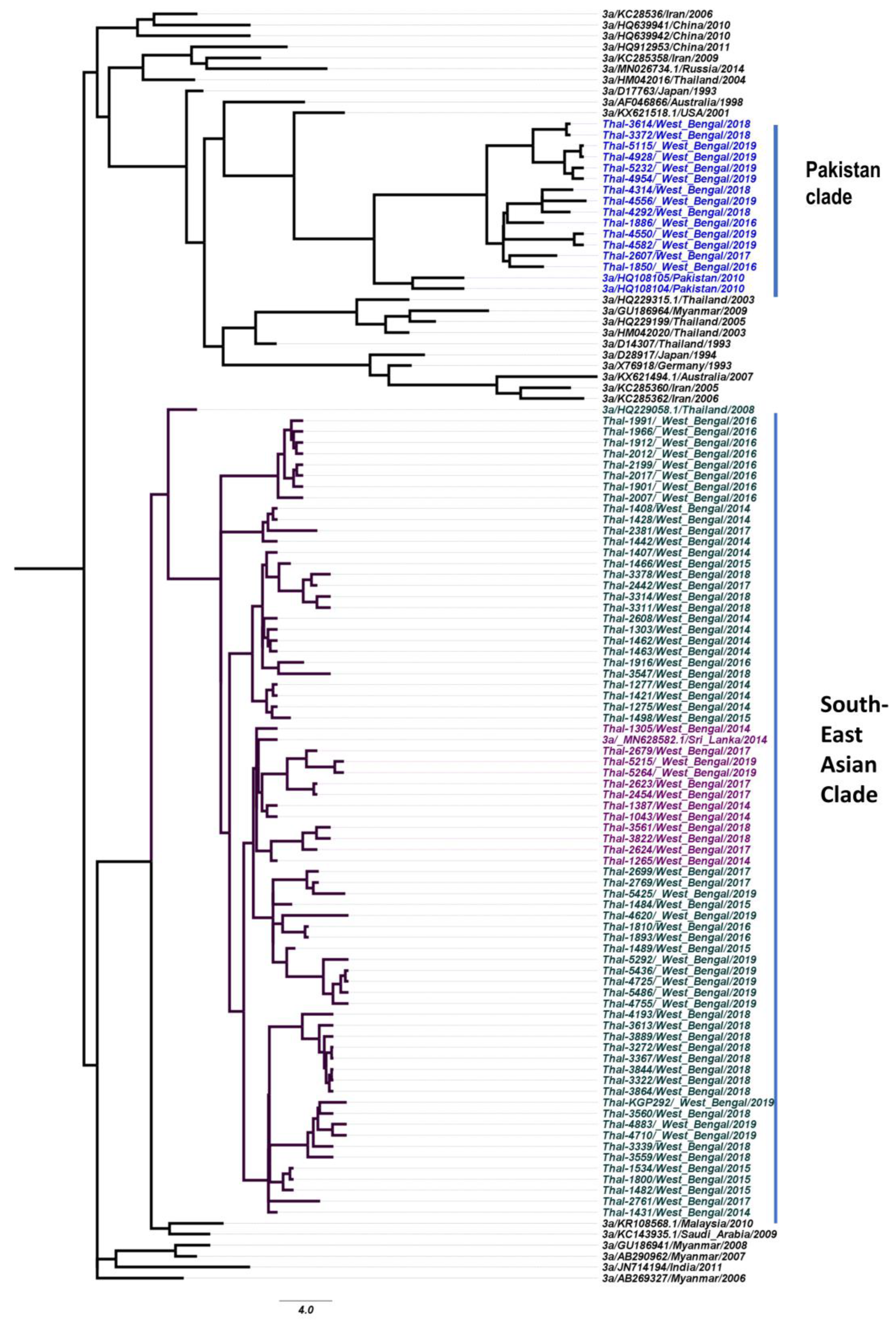Thalassrep 13 00016 g002