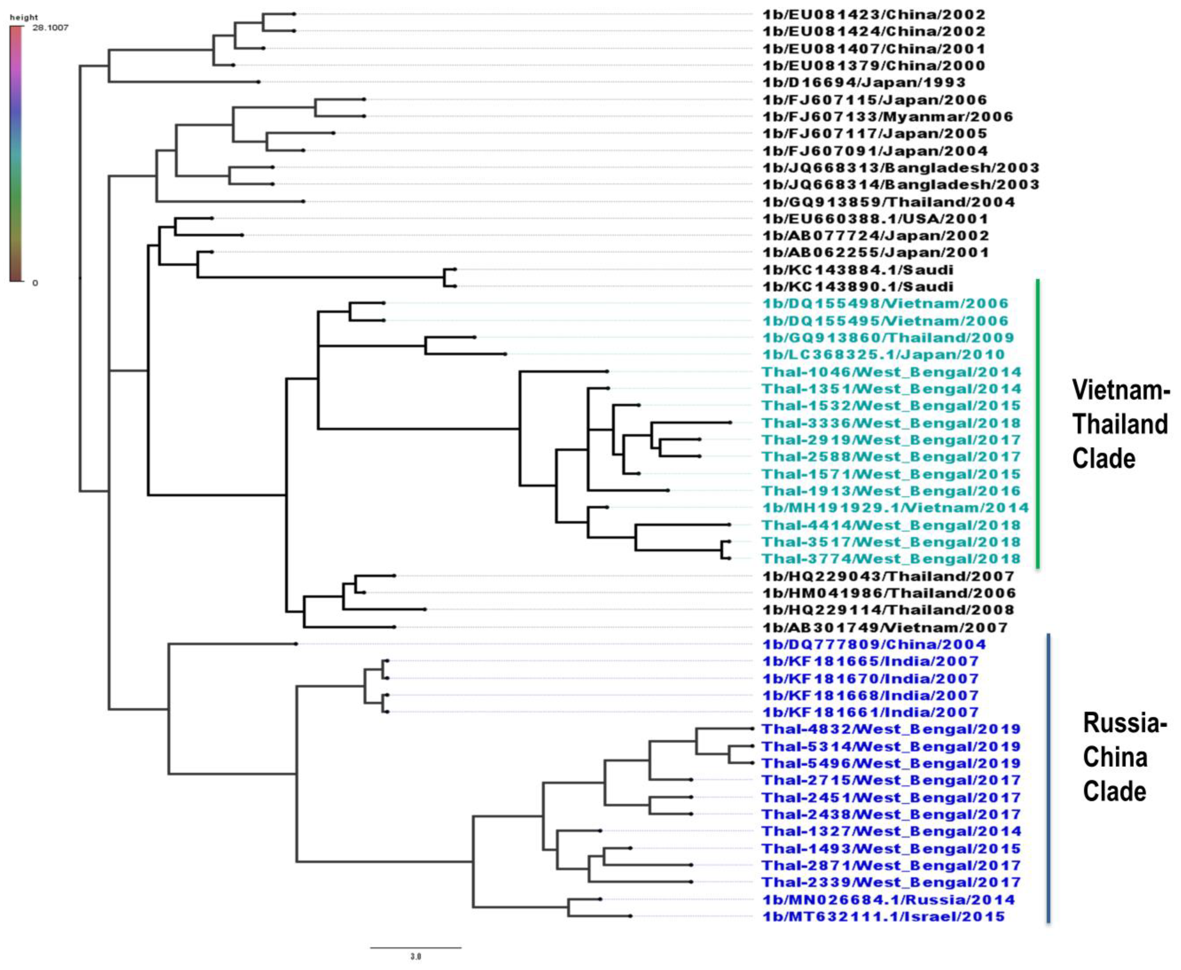 Thalassrep 13 00016 g003