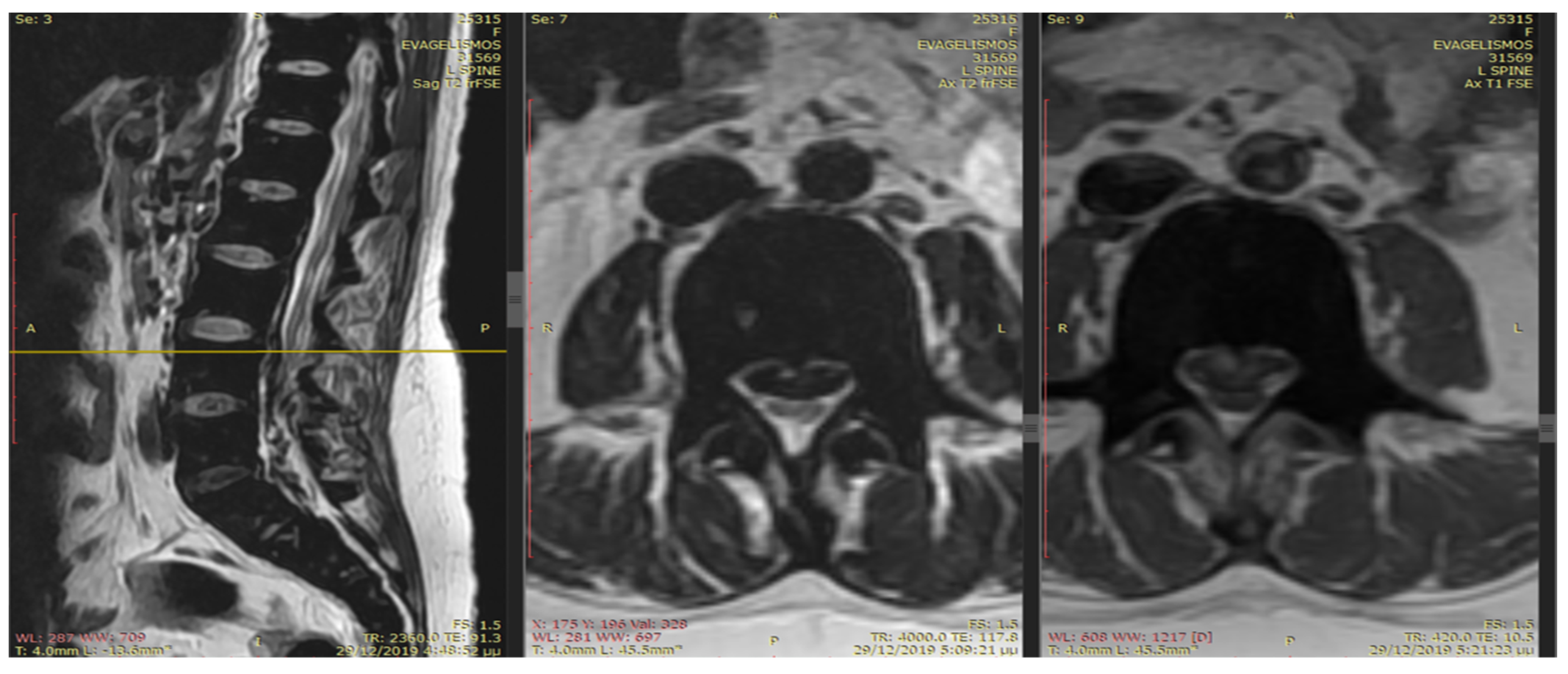 Thalassrep 14 00004 g001