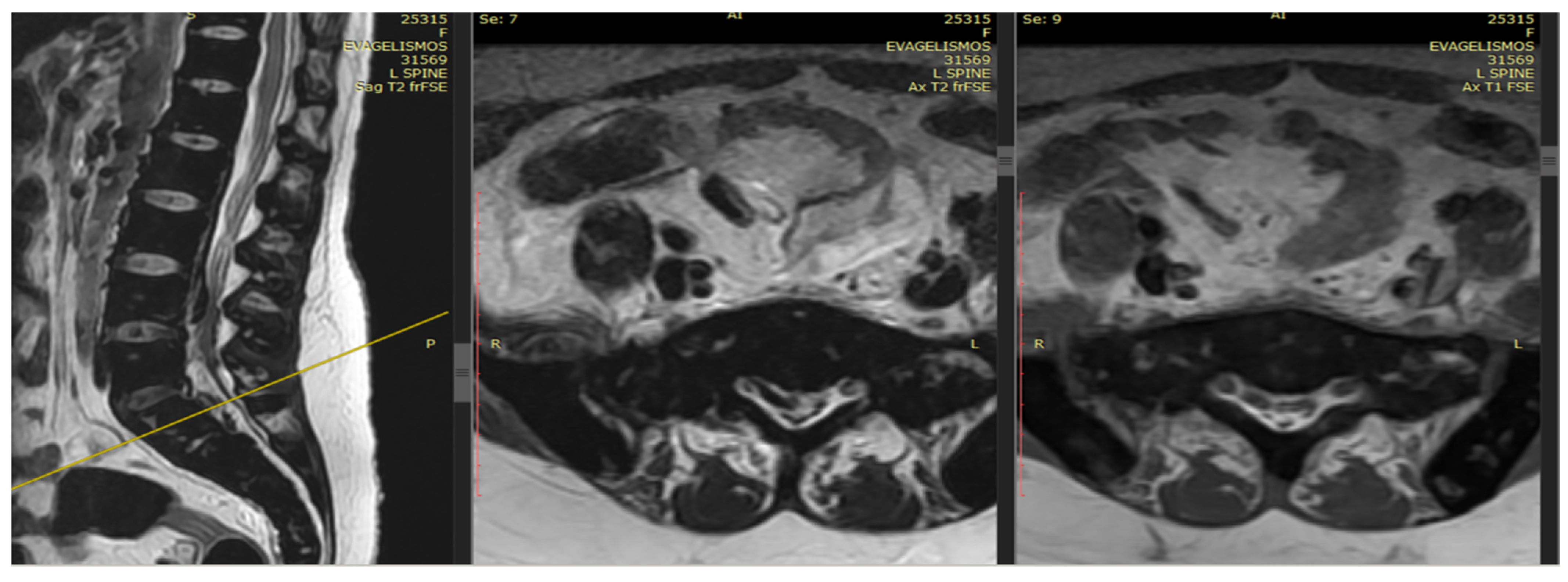 Thalassrep 14 00004 g002