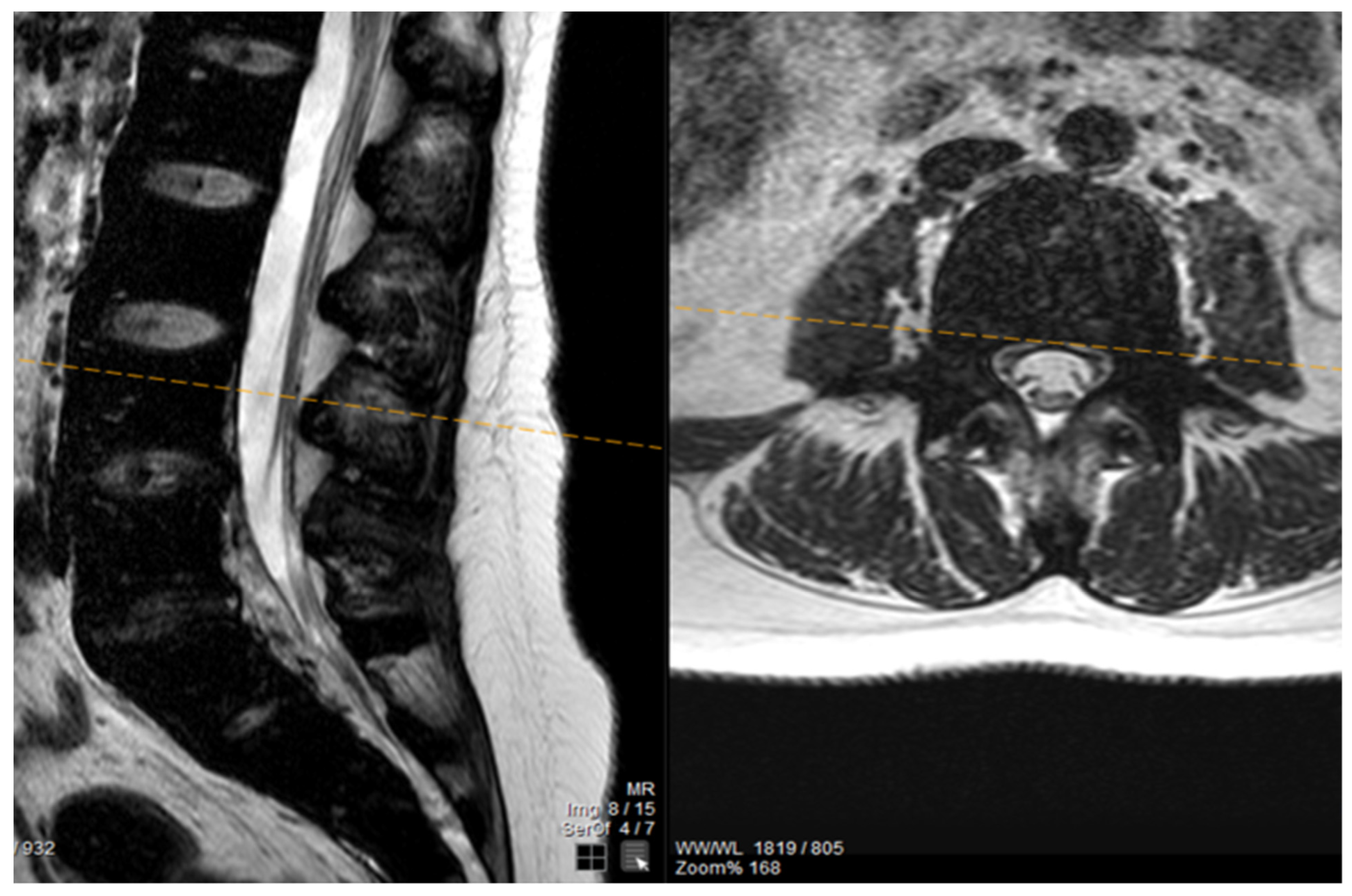 Thalassrep 14 00004 g003