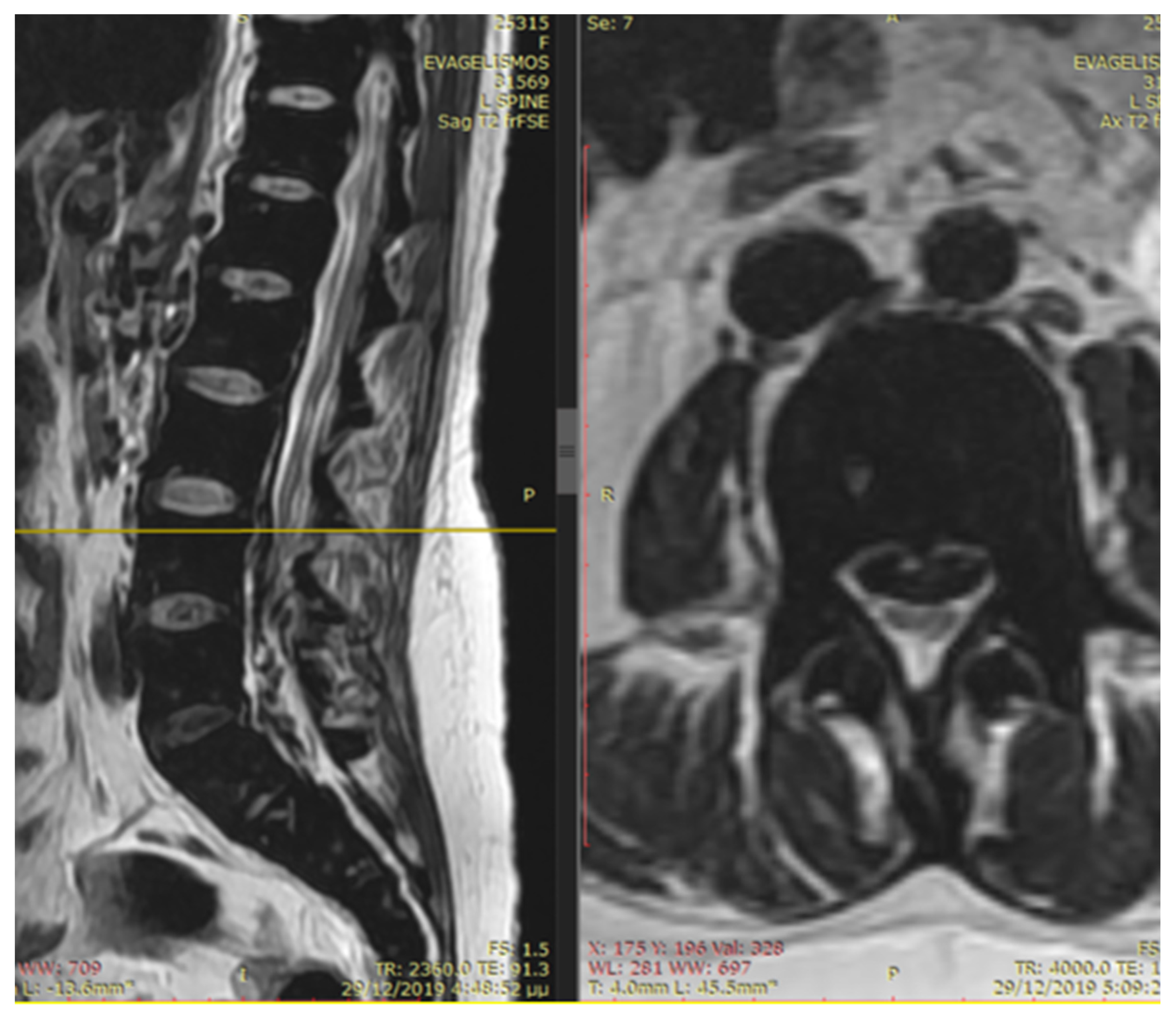 Thalassrep 14 00004 g004