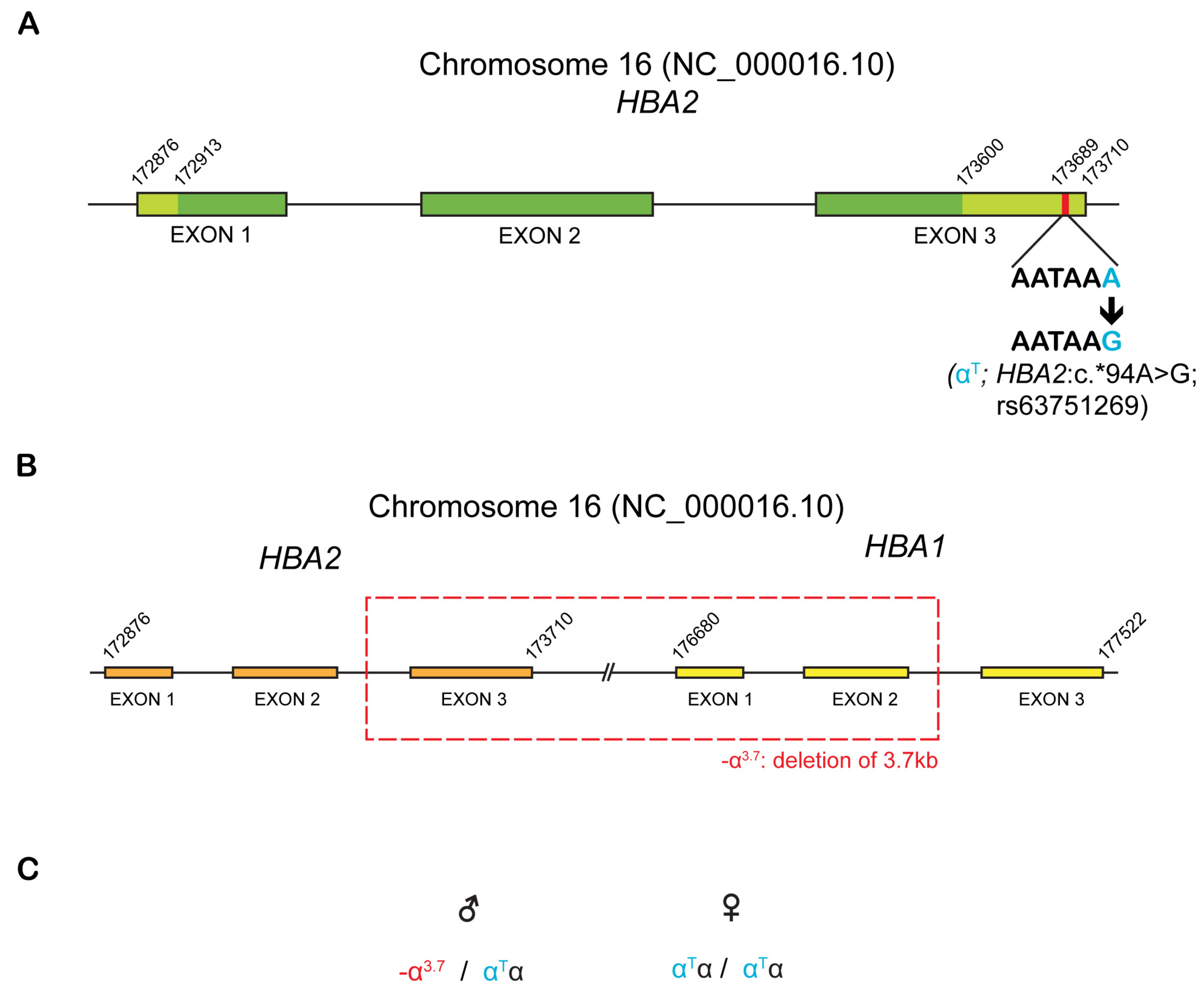 Thalassrep 14 00006 g001