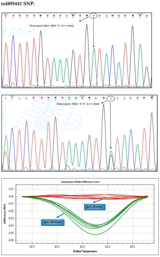 Thalassrep 14 00011 g003b