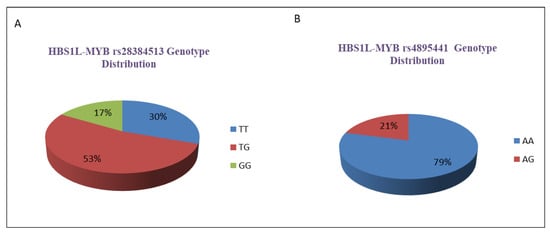 Thalassrep 14 00011 g004