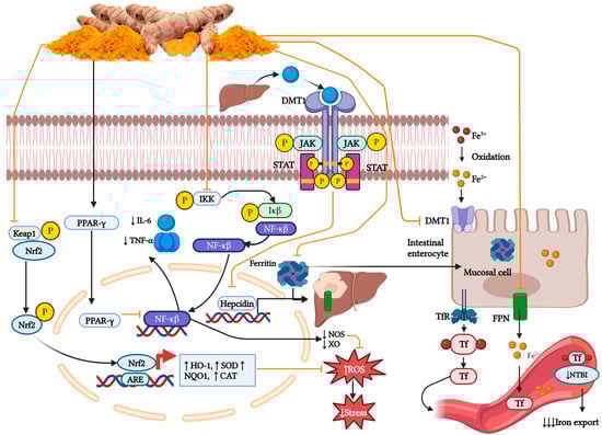 Thalassrep 15 00007 g008