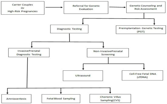 Reproductive genetic testing pathway from risk identification to prenatal diagnosis.