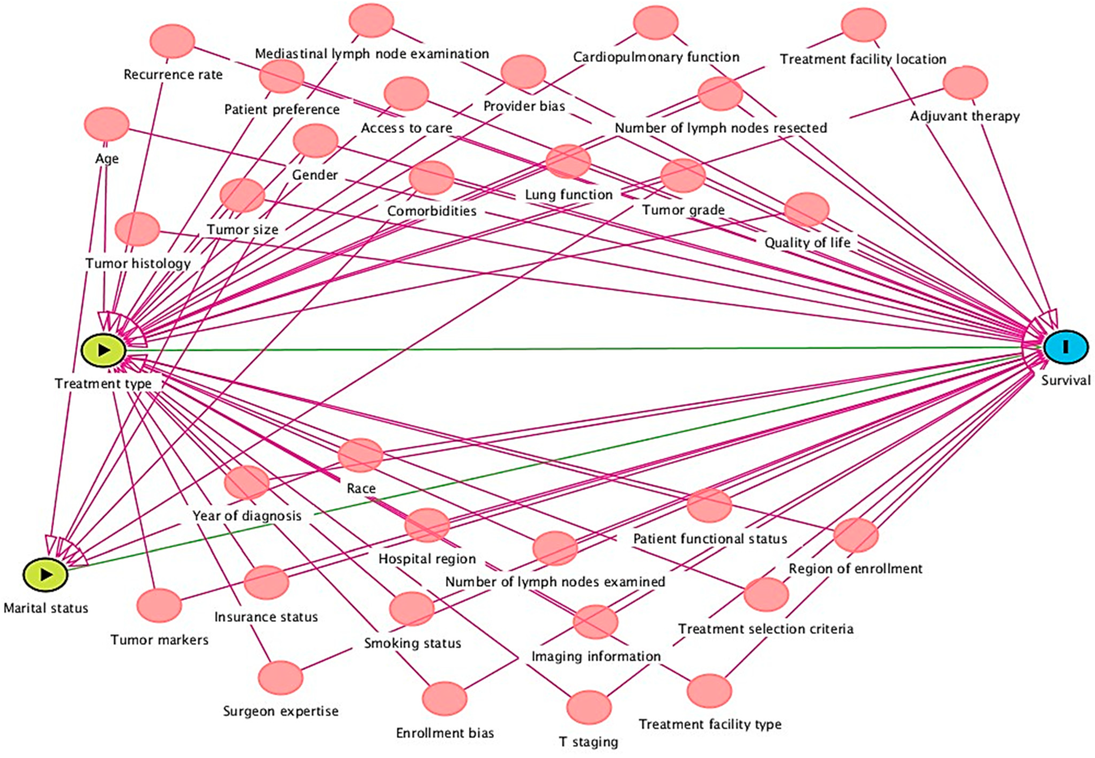 Therapeutics 01 00008 g003