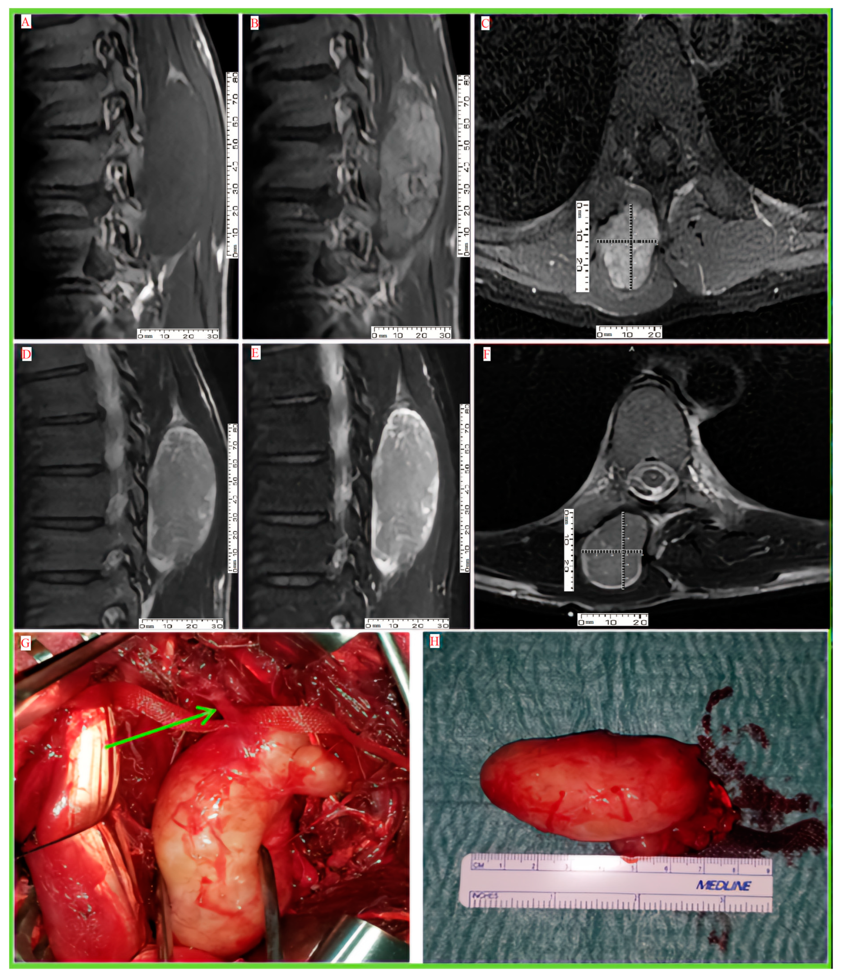 Therapeutics 01 00010 g002