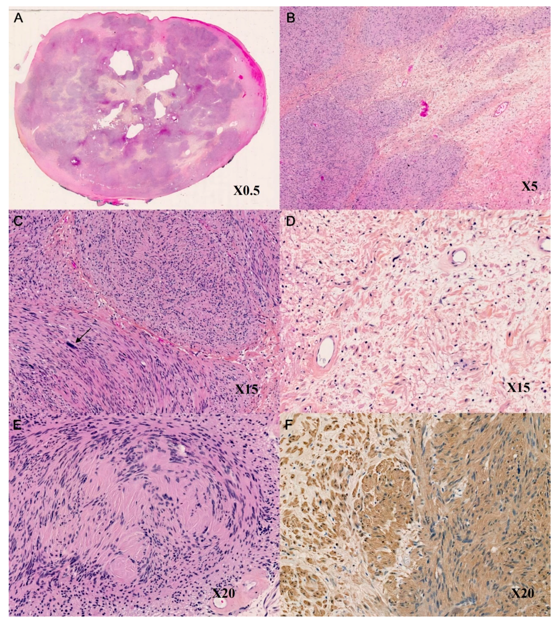 Therapeutics 01 00010 g003