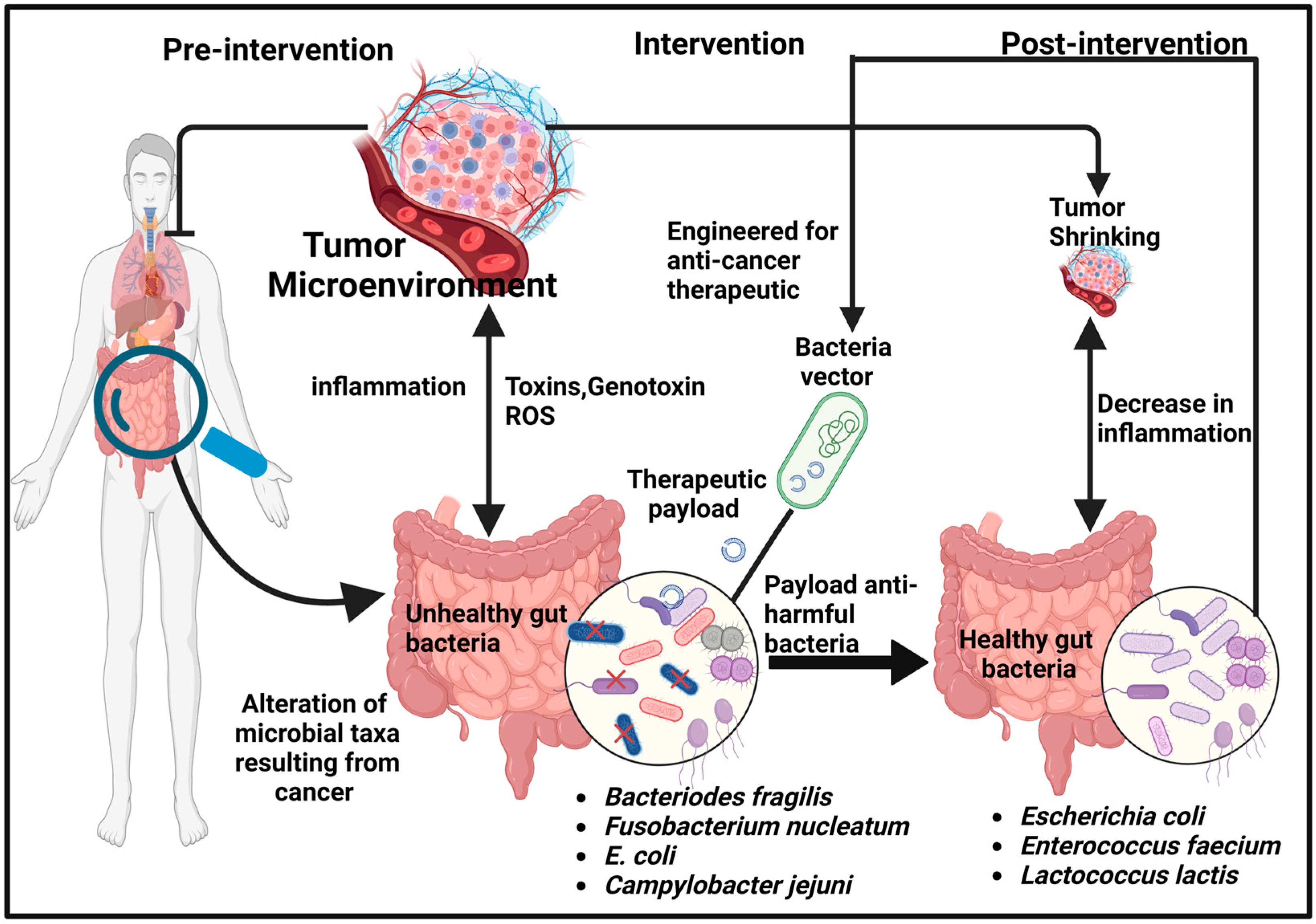 Therapeutics 01 00011 g001