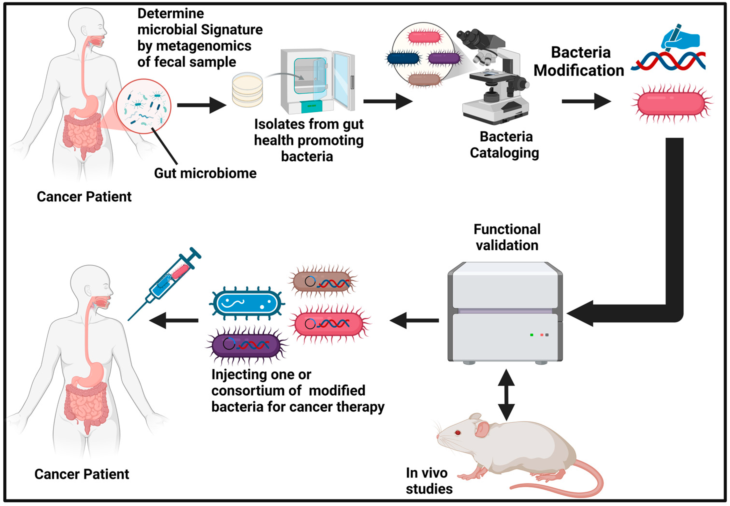 Therapeutics 01 00011 g004