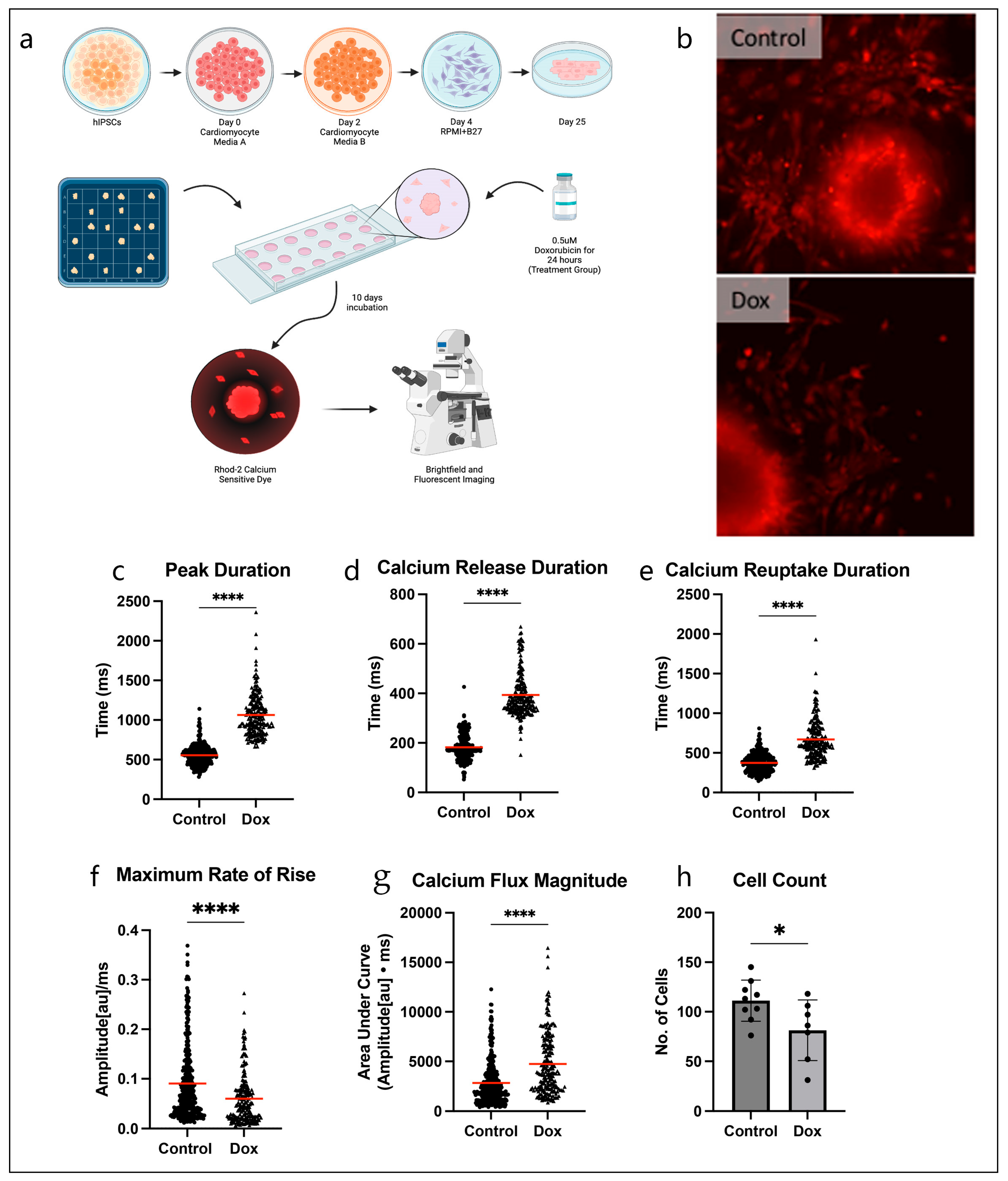 Therapeutics 02 00011 g002