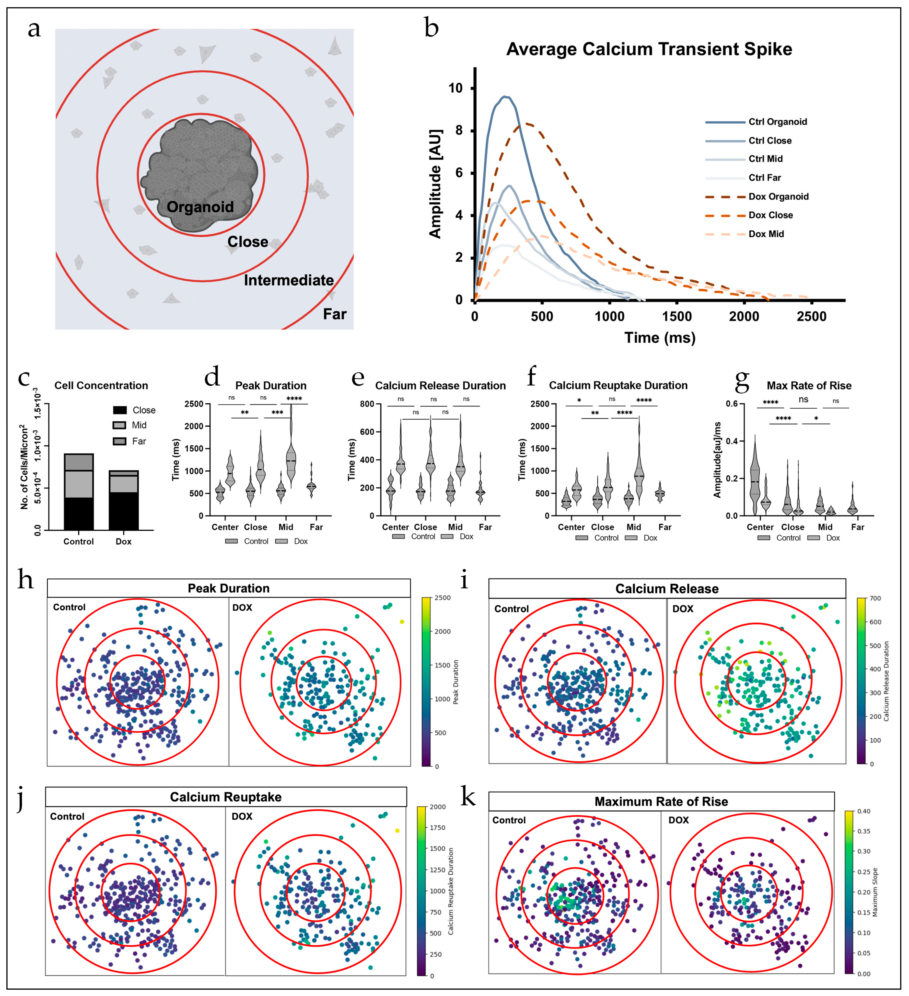 Therapeutics 02 00011 g003