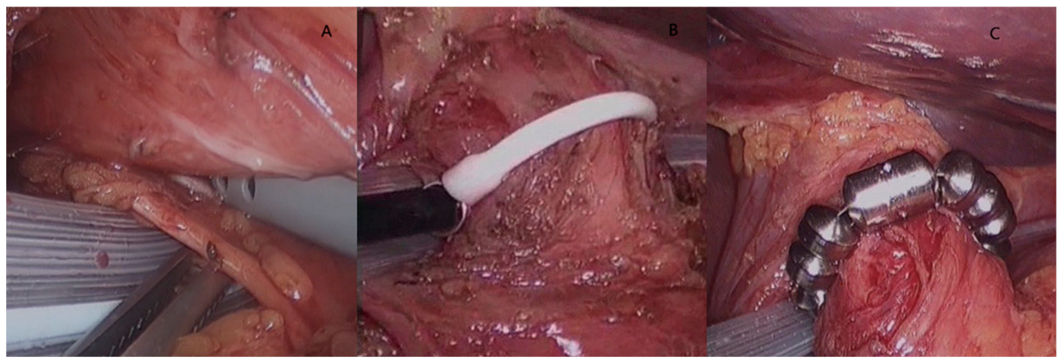 Therapeutics 02 00012 g003