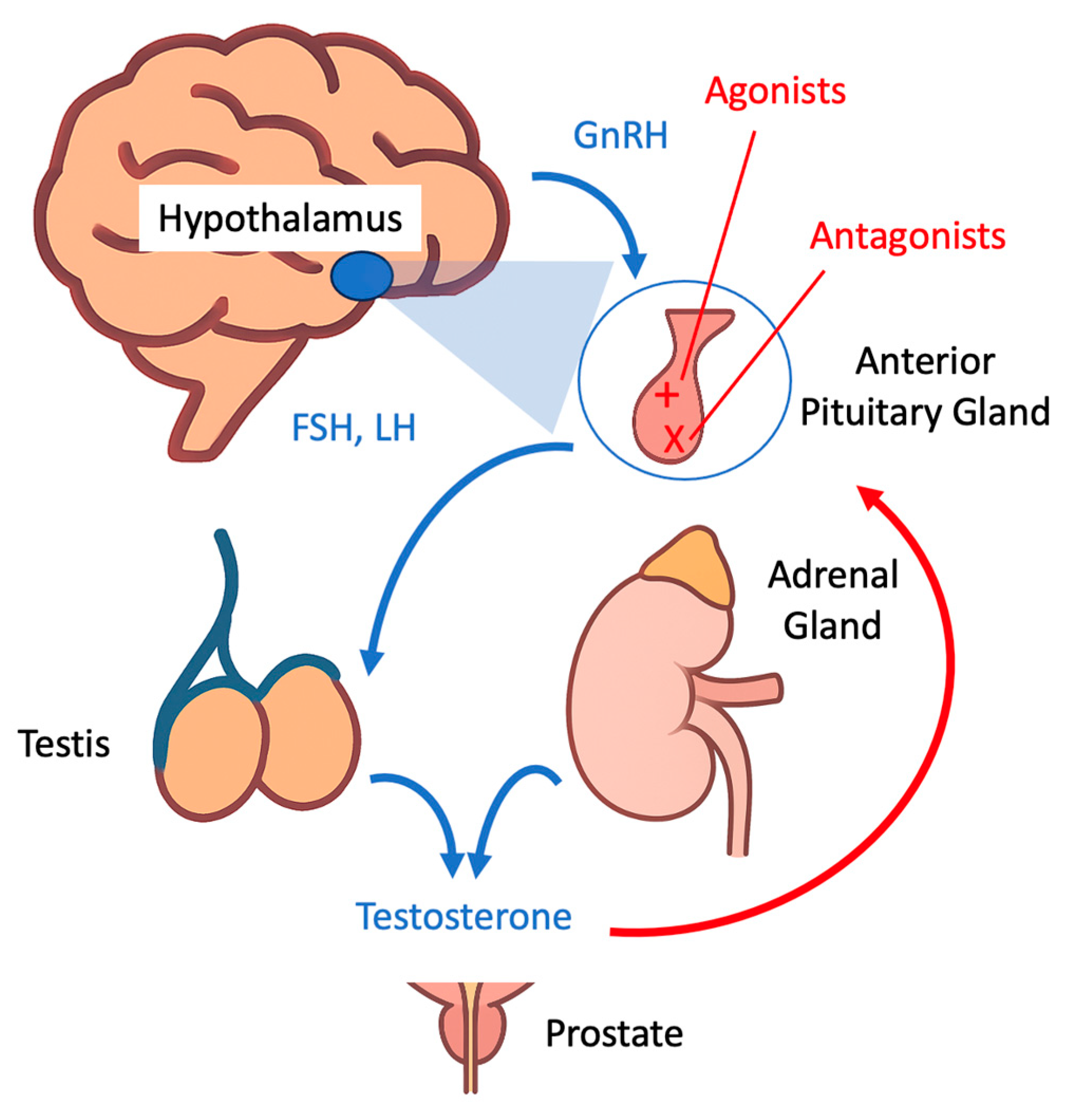 Therapeutics 02 00016 g001