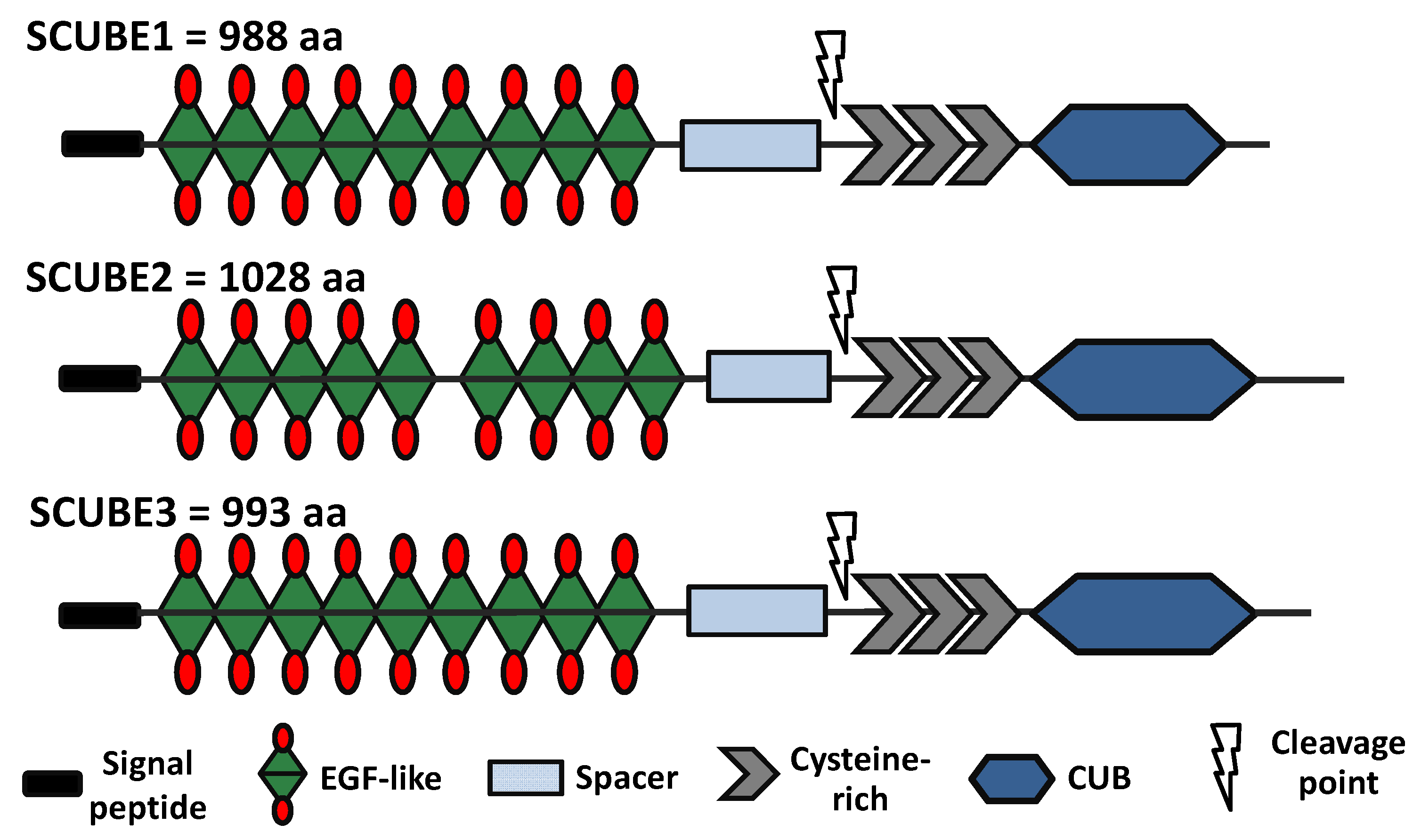 Therapeutics 03 00005 g001