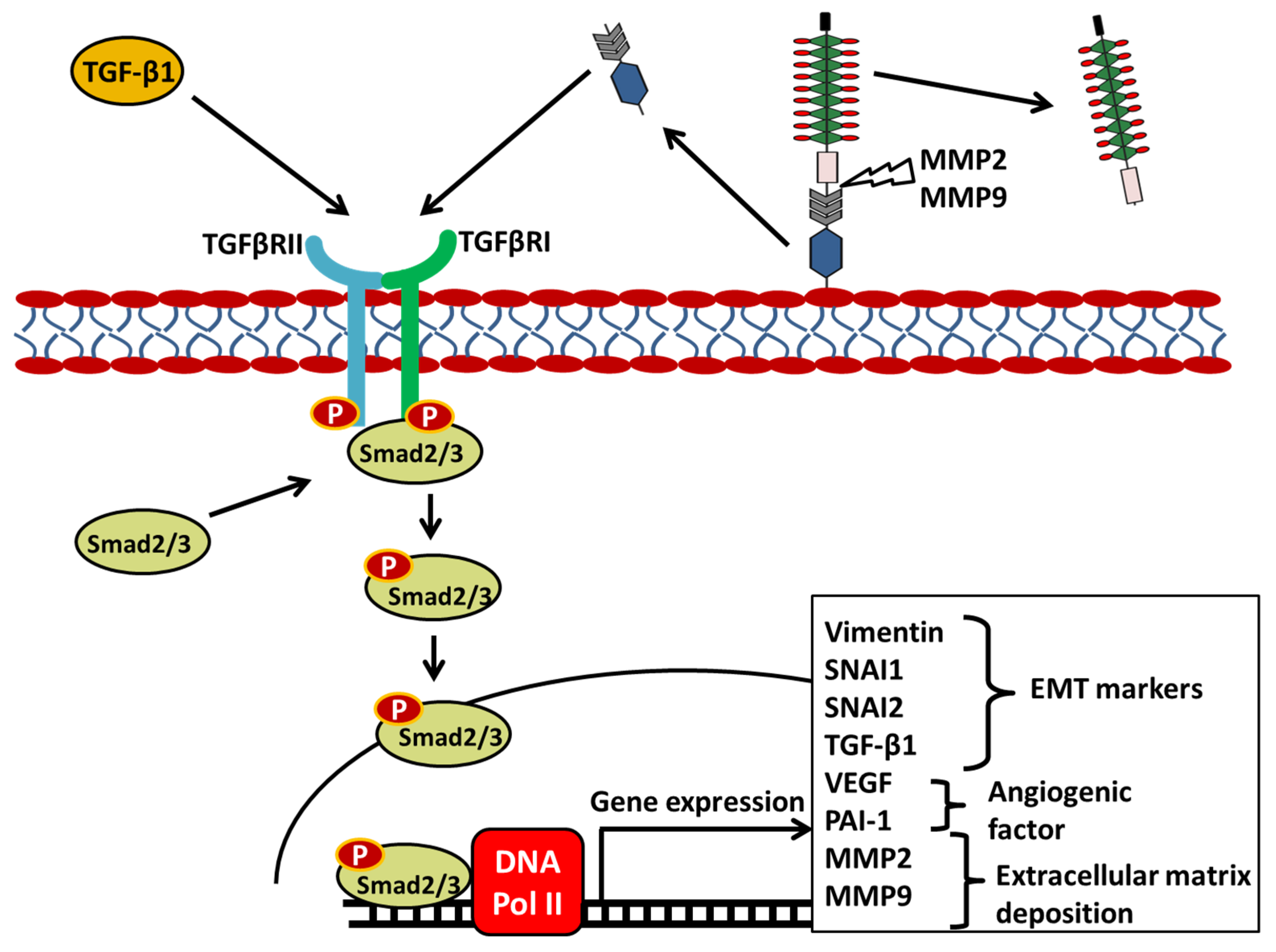 Therapeutics 03 00005 g002