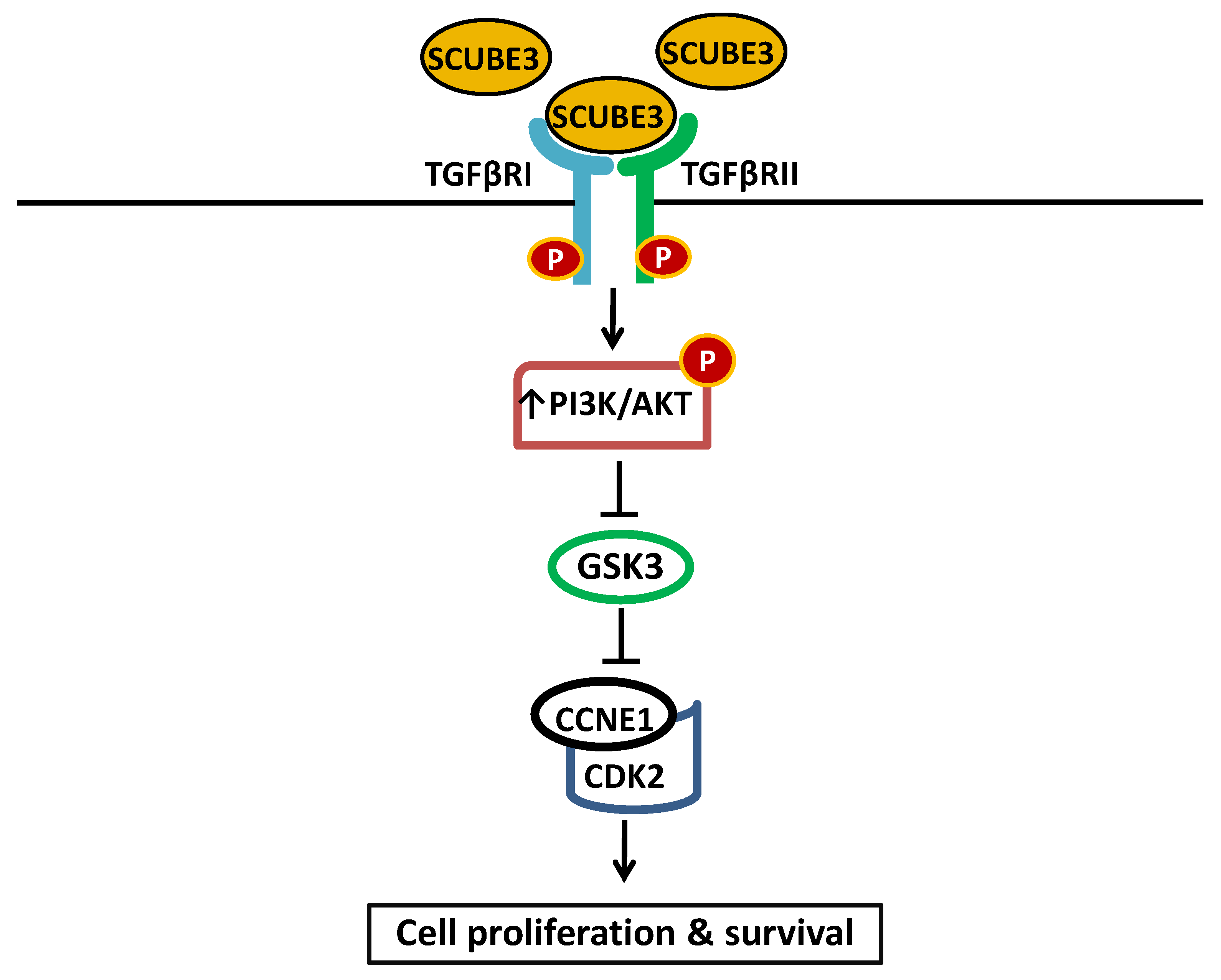 Therapeutics 03 00005 g003