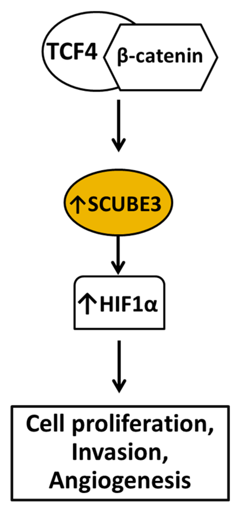 Therapeutics 03 00005 g006